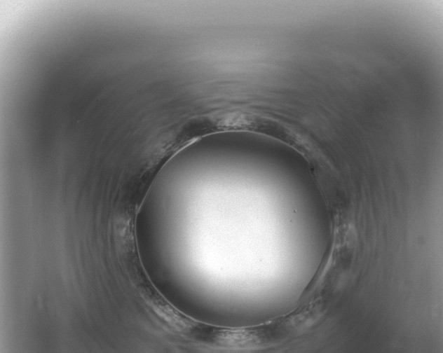 X0000062150521200512121311