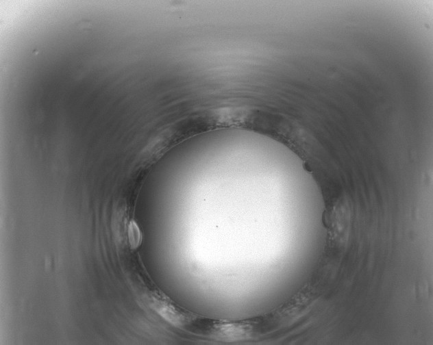 X0000062150522200512121311