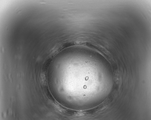 X0000062150523200512121311