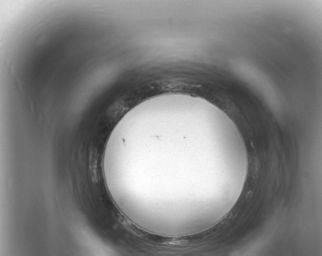 X0000062150525200512121311