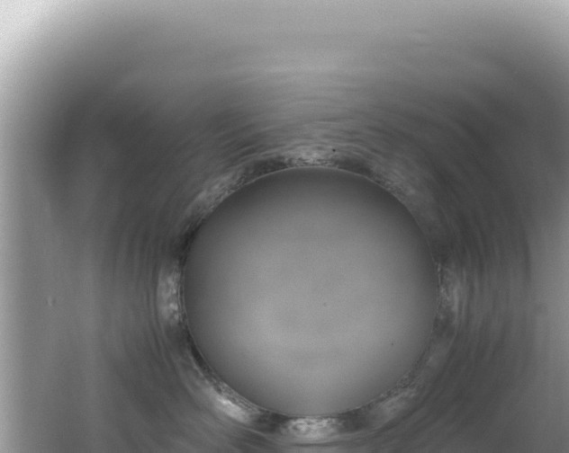 X0000062150526200512121311