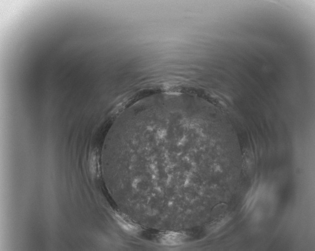 X0000062150527200512121311