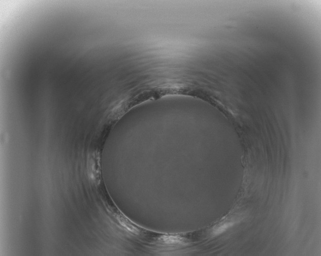 X0000062150528200512121311