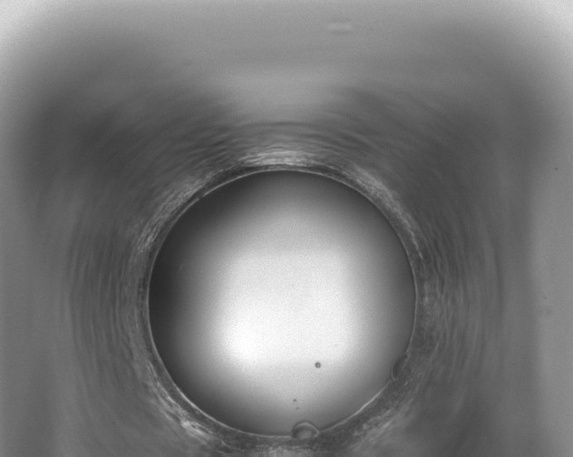 X0000062150529200512121310