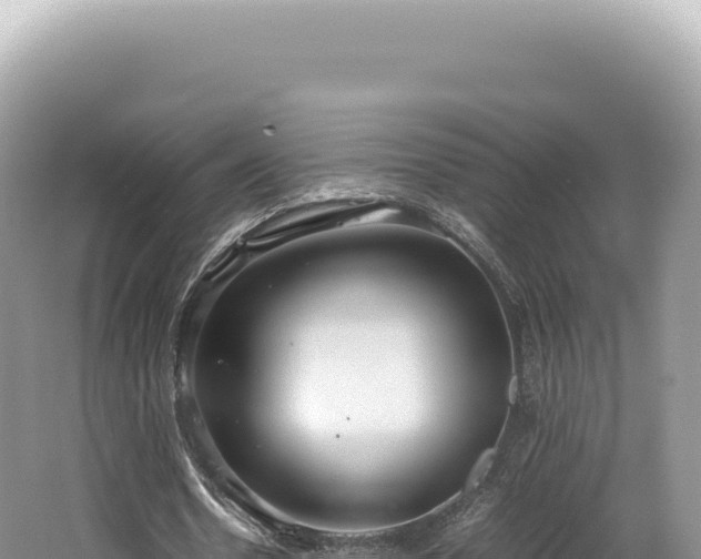 X0000062150530200512121310