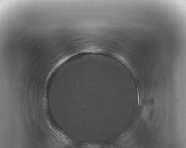 X0000062150531200512121310