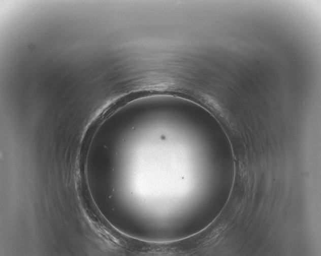 X0000062150532200512121310