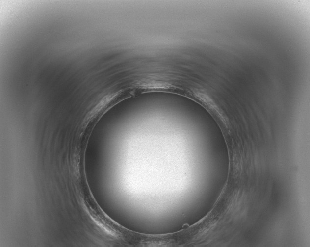 X0000062150533200512121310