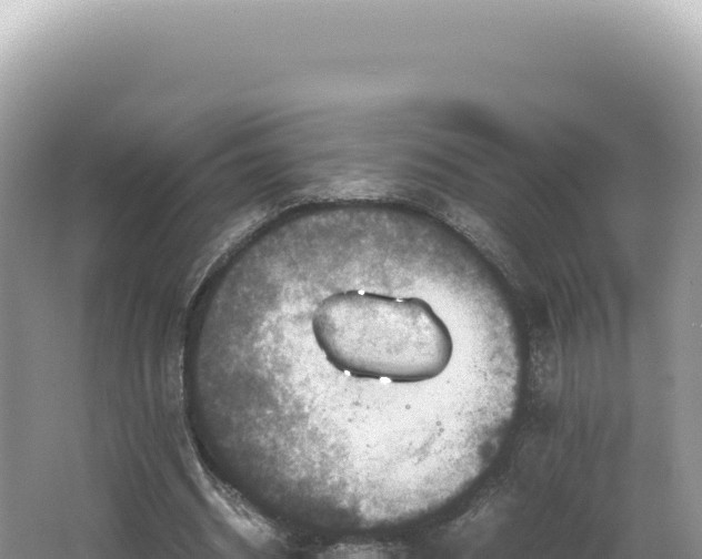 X0000062150534200512121310