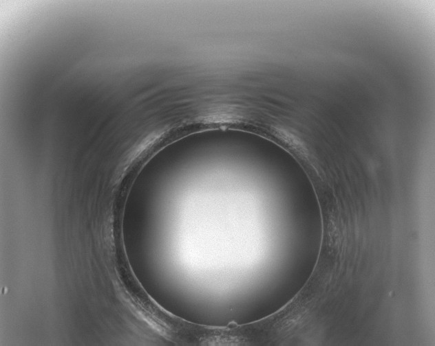 X0000062150535200512121310