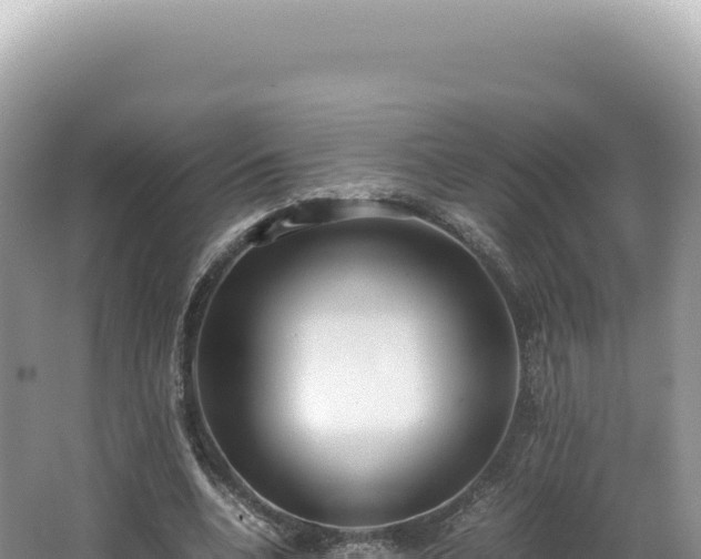 X0000062150536200512121310