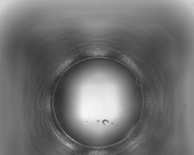 X0000062150537200512121310