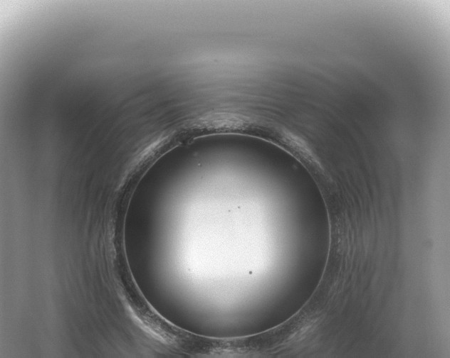 X0000062150538200512121310