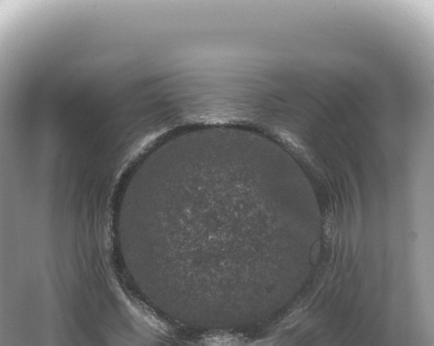 X0000062150540200512121310