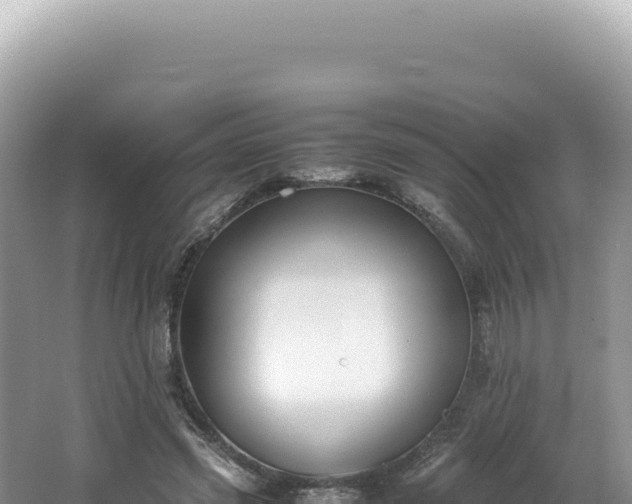 X0000062150541200512121310