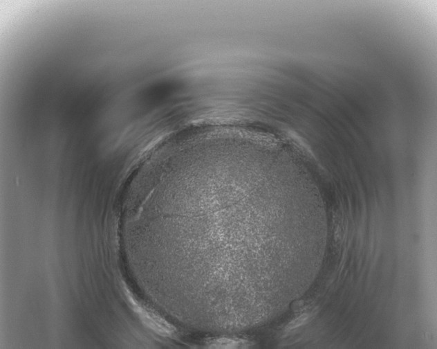 X0000062150542200512121310