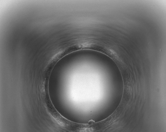 X0000062150543200512121310