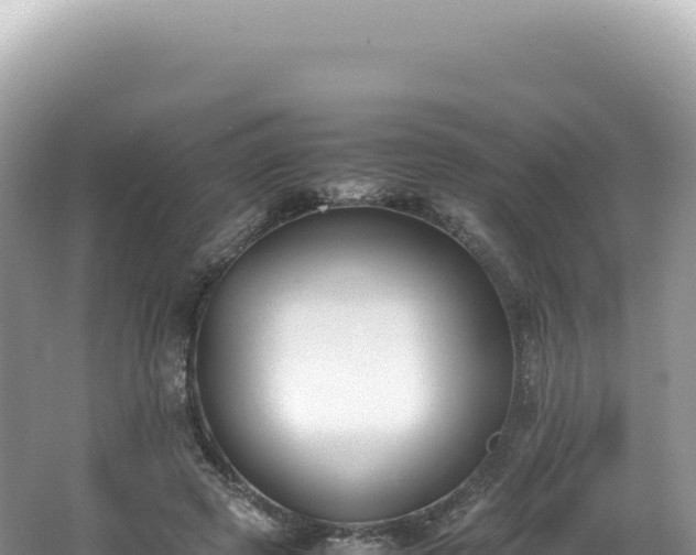 X0000062150545200512121310