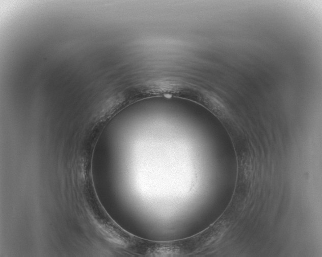 X0000062150546200512121310