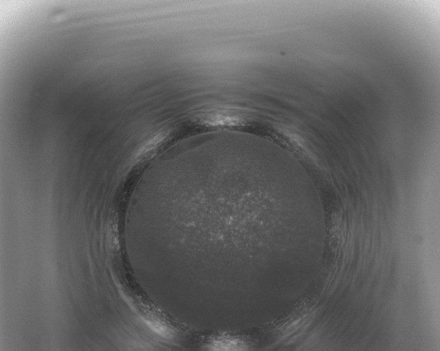 X0000062150547200512121310