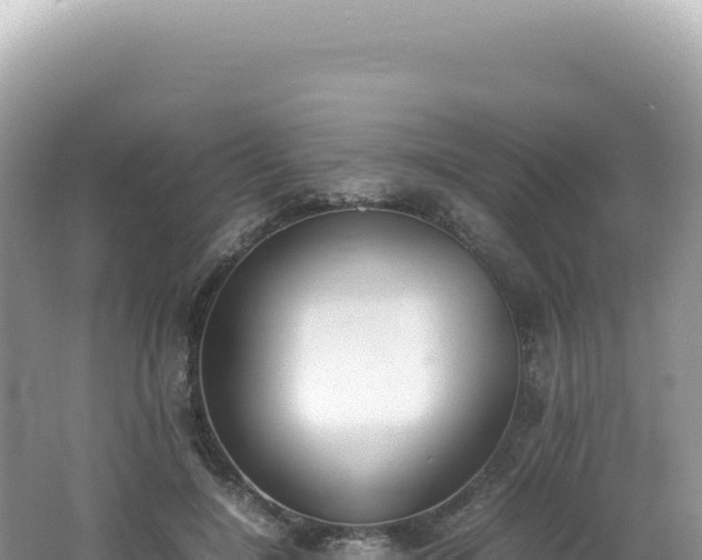 X0000062150548200512121310