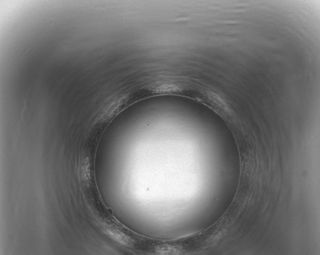 X0000062150549200512121310