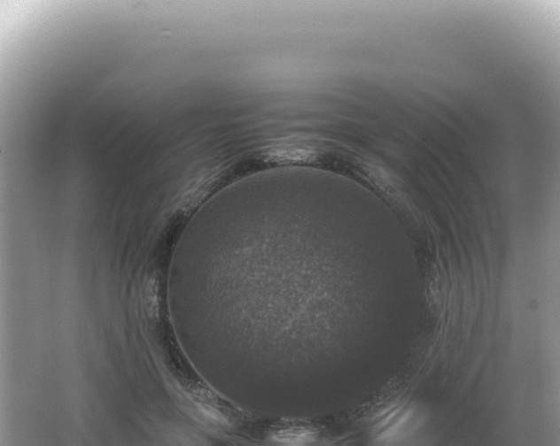 X0000062150551200512121310