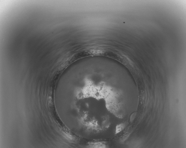 X0000062150553200512121310