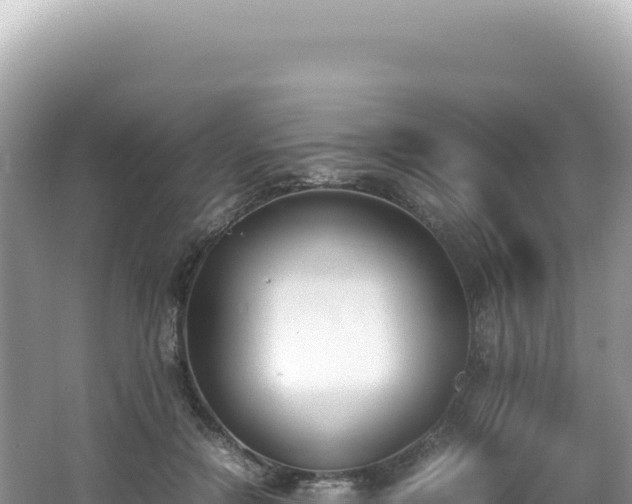 X0000062150554200512121310