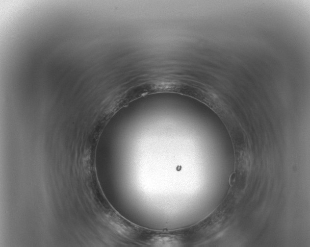 X0000062150557200512121310