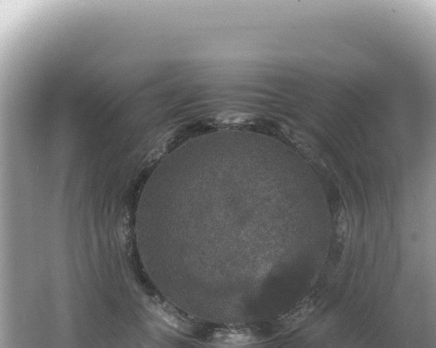 X0000062150559200512121310