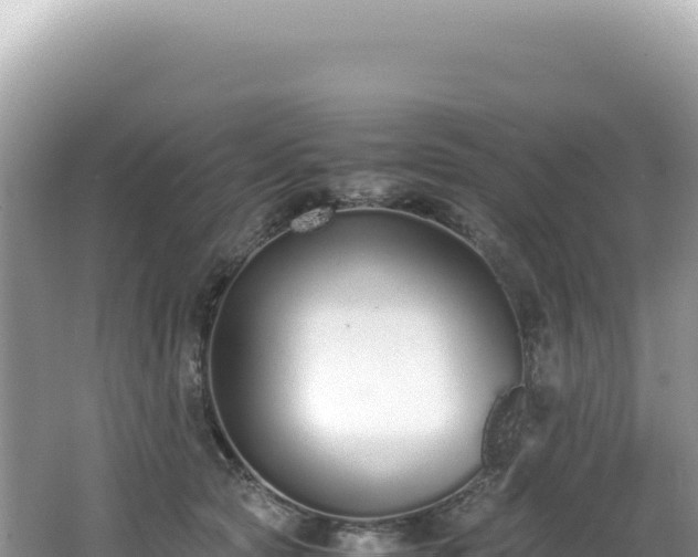 X0000062150561200512121310