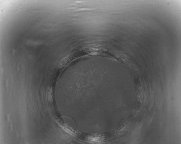 X0000062150563200512121310