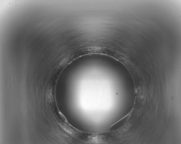 X0000062150564200512121310