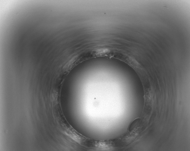 X0000062150565200512121310