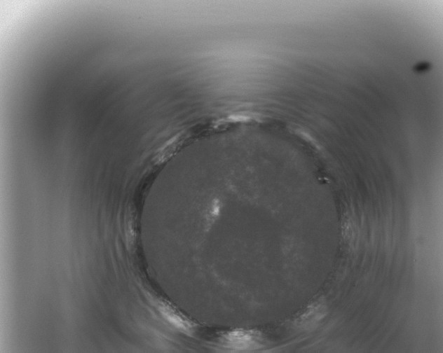 X0000062150566200512121310