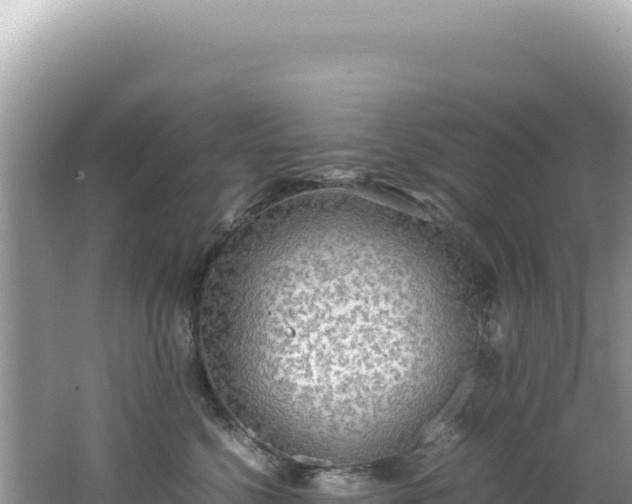 X0000062150568200512121310