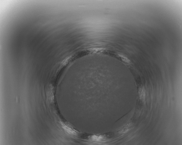 X0000062150570200512121310