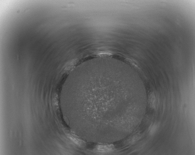 X0000062150571200512121310