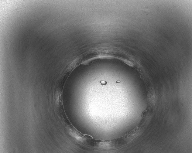 X0000062150574200512121311