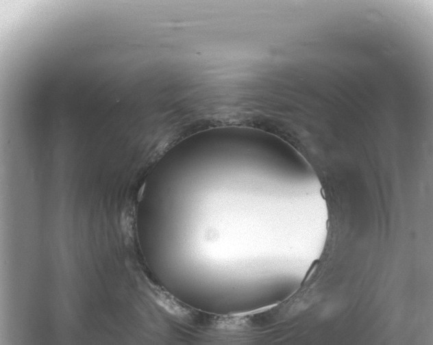 X0000062150576200512121311