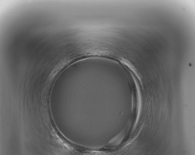 X0000062150577200512121310