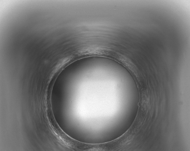 X0000062150578200512121310