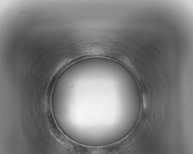 X0000062150579200512121310