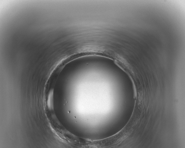 X0000062150580200512121310