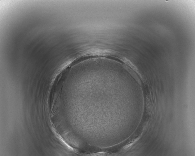 X0000062150581200512121310