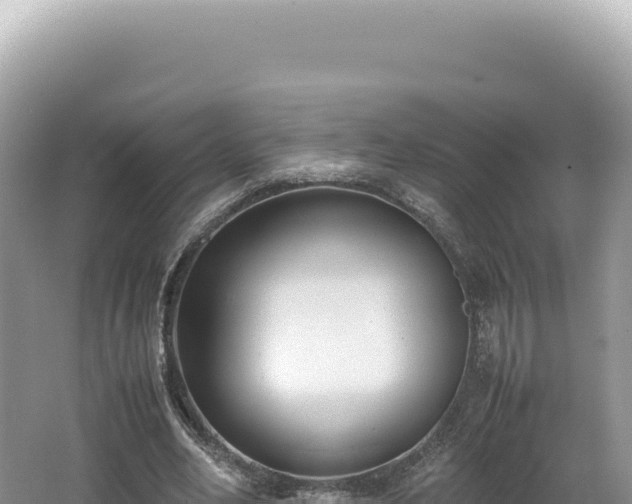 X0000062150582200512121310