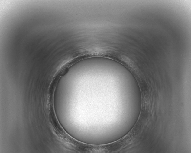 X0000062150583200512121310