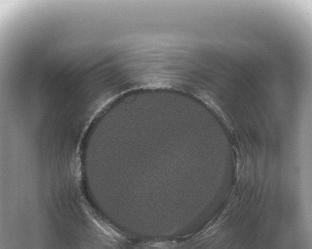 X0000062150584200512121310