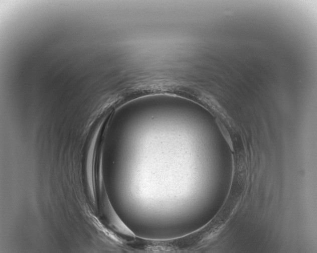 X0000062150585200512121310